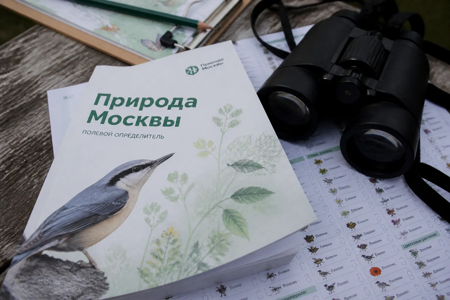 Москвичи определят программу летних эко-мероприятий на портале «Активный гражданин»