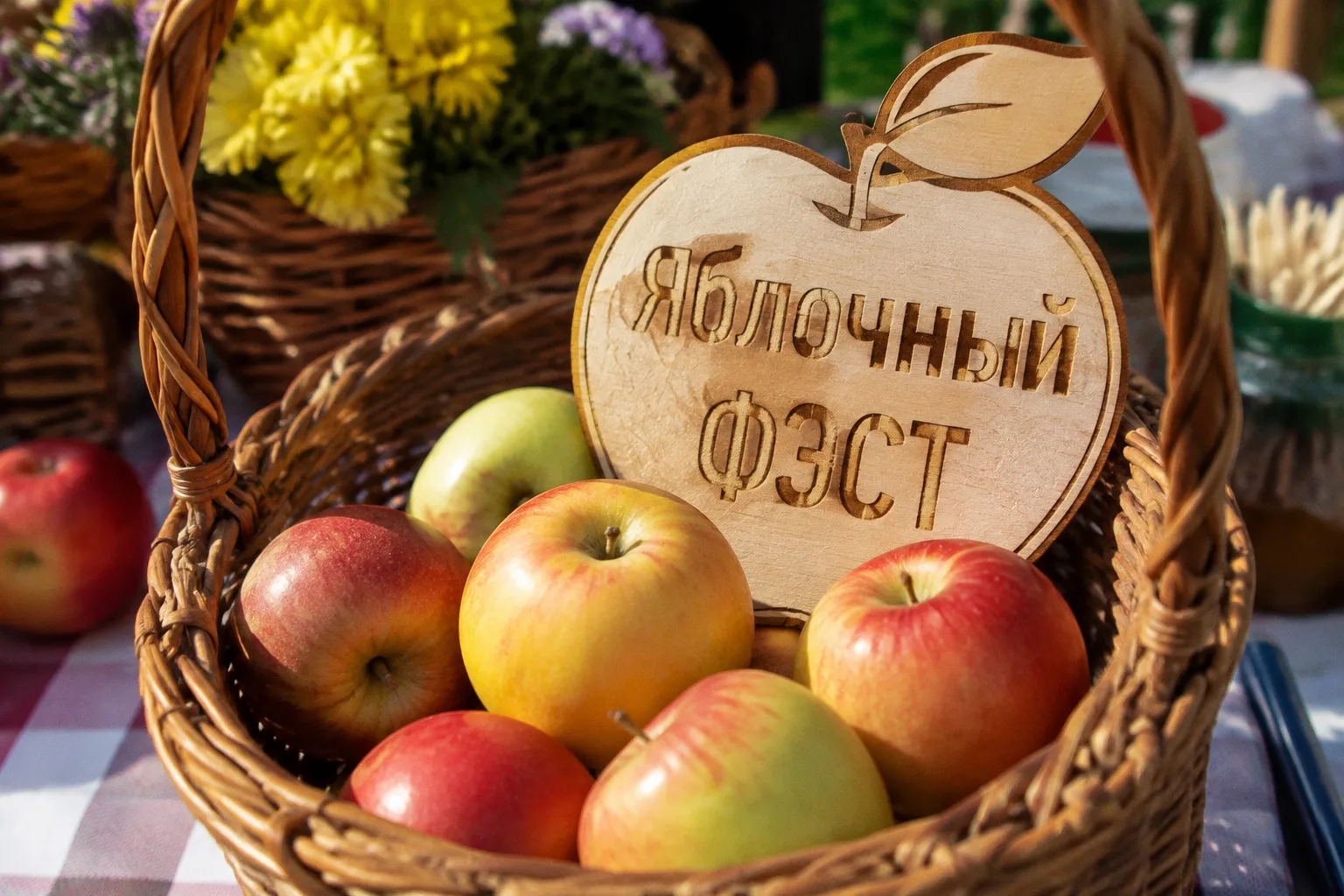 Яблочный ФЭСТ в Советском районе: программа активностей на День города